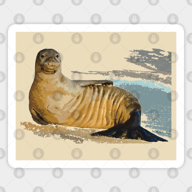 Hawaiian Monk Seal Magnet by NadJac